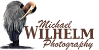 Michael Wilhelm