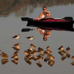 kayakers watch birds in mexico